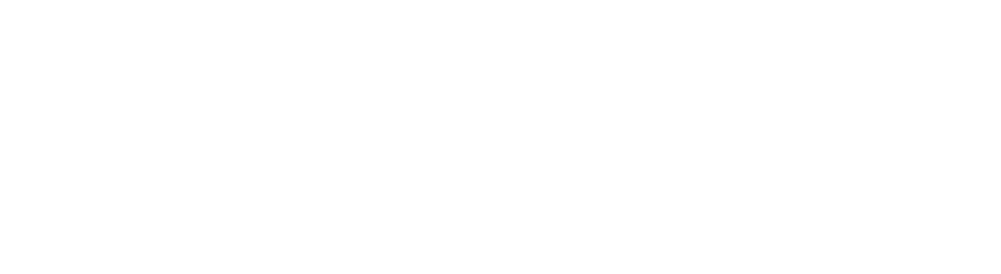 Logo da doutora Bruna Peterle